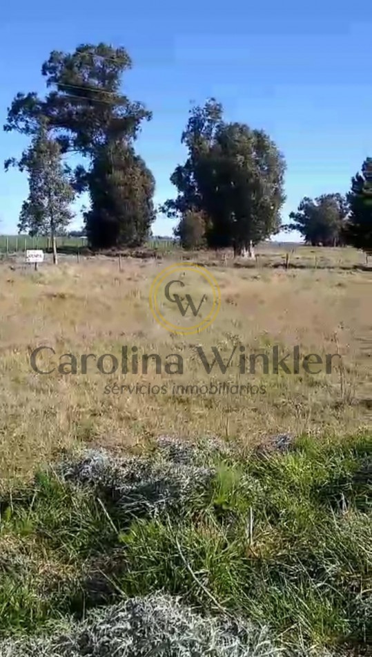 Hectarea zona rural