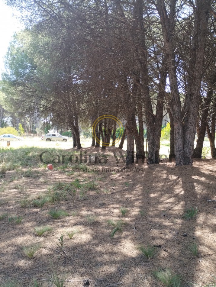 Venta de lote zona Golf