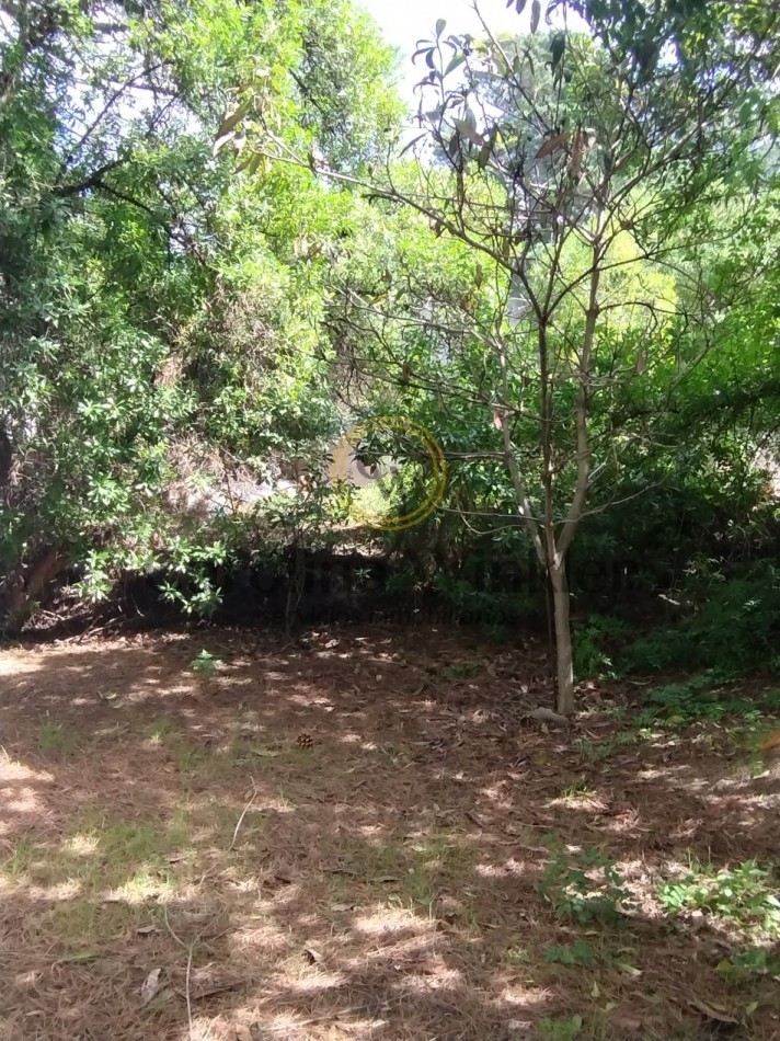 Casa para reciclar