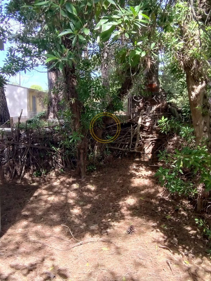 Casa para reciclar