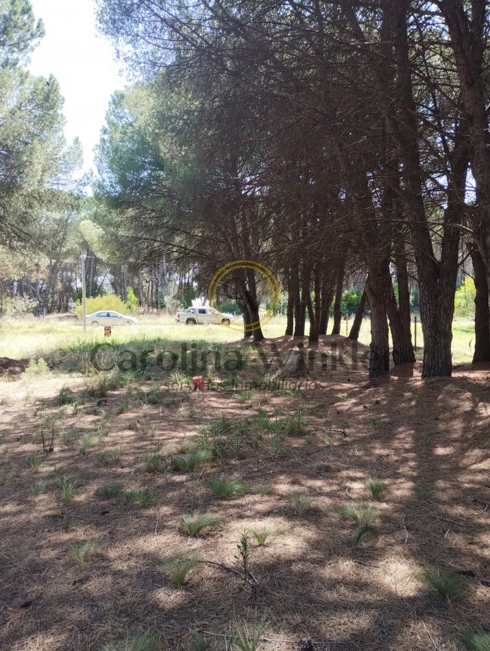 Venta de lote zona Golf