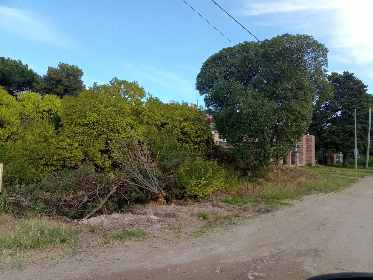 Lote en zona residencial.