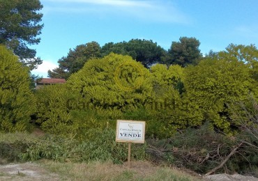 Lote en zona residencial.